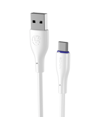Ronin R-2035 Data Cable – Fast Charging Cable (Type-C)