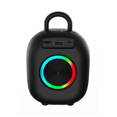 LOGIN 273 Portable Bluetooth Speaker