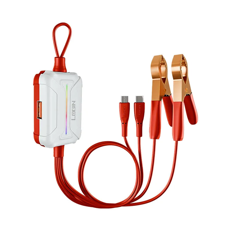 LOGIN CLIP CHARGERS L-501 2 in 1 Micro & Type-C