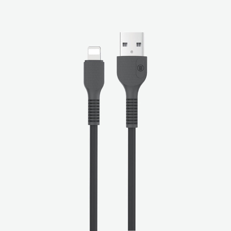 WP-303 | Fast-Charging USB-A to Lightning Data Cable